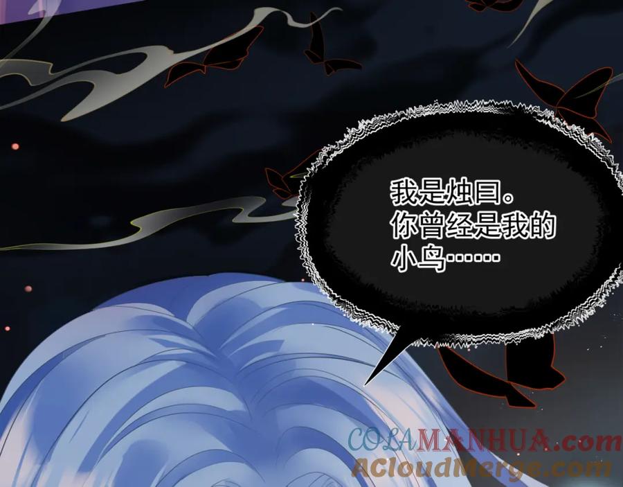 魔尊要抱抱 完结篇 成为你的天地洪荒 第41页