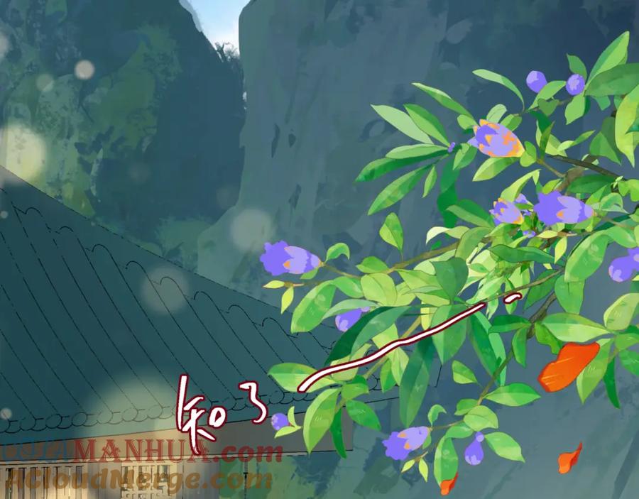 魔尊要抱抱 番外3 小狐狸篇_凤凰烛曰篇 第5页