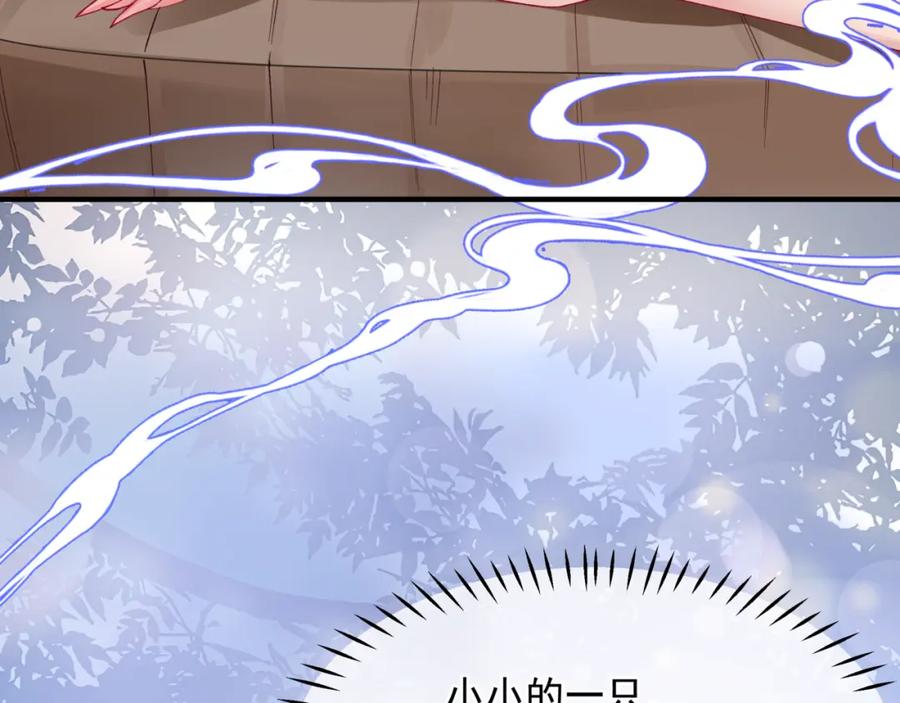 魔尊要抱抱 番外3 小狐狸篇_凤凰烛曰篇 第23页