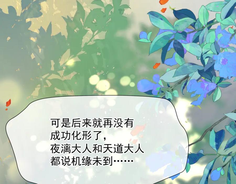 魔尊要抱抱 番外3 小狐狸篇_凤凰烛曰篇 第34页