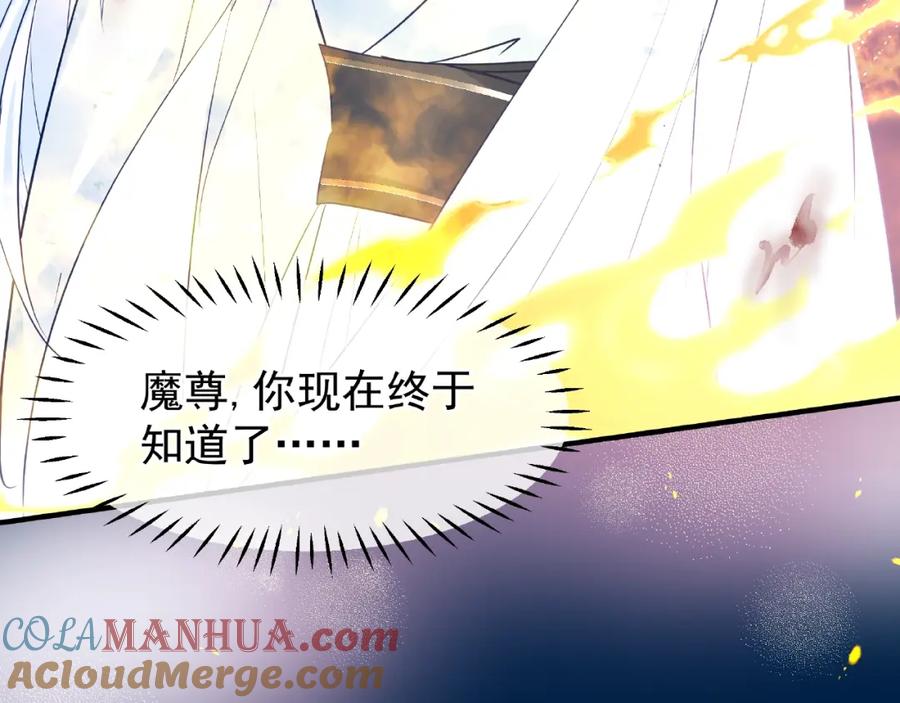 魔尊要抱抱 第26话 灵魂的去留 第113页