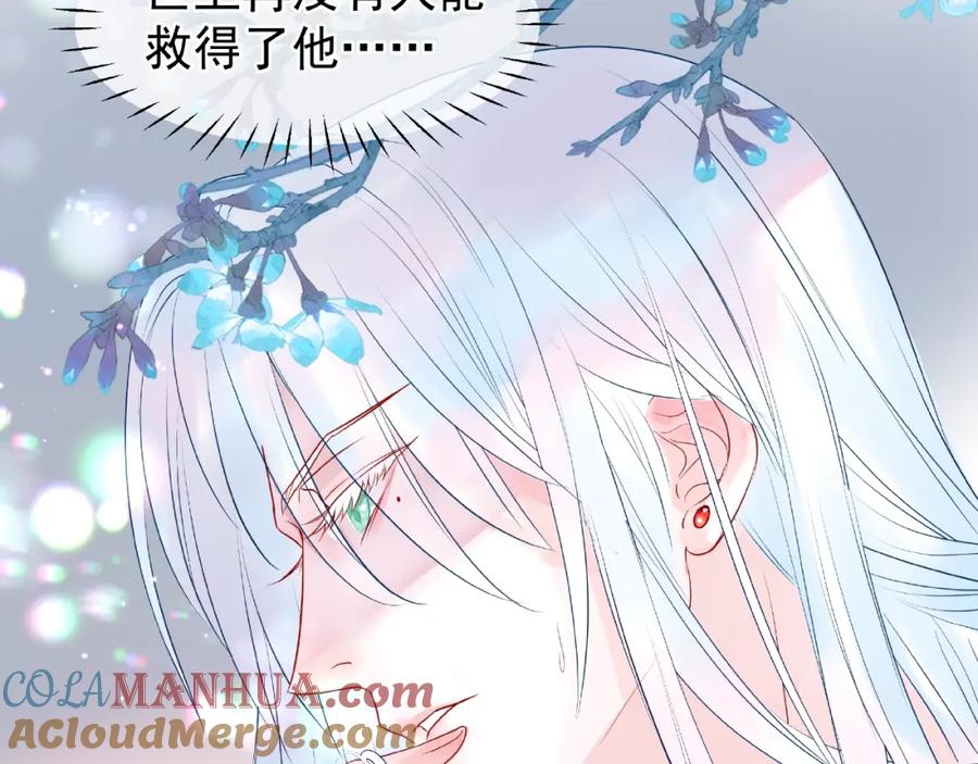 魔尊要抱抱 第31话 回家 第81页