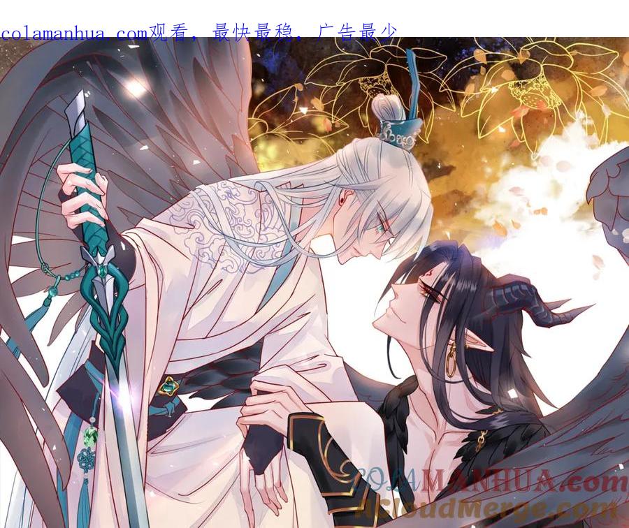 魔尊要抱抱 第38话 不需要你对我好 第1页