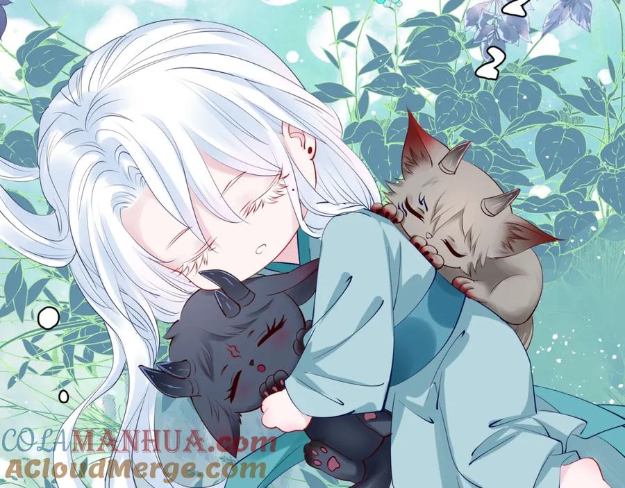 魔尊要抱抱 第42话 初拾记忆 第53页
