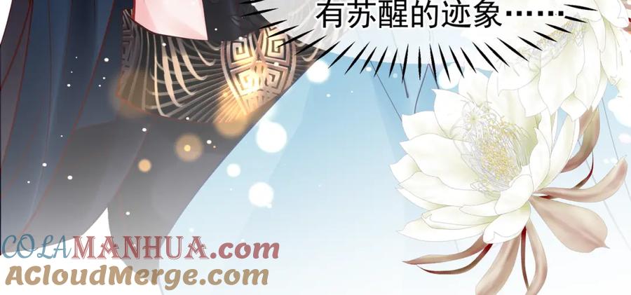 魔尊要抱抱 第44话 你是我的魂牵梦萦 第93页
