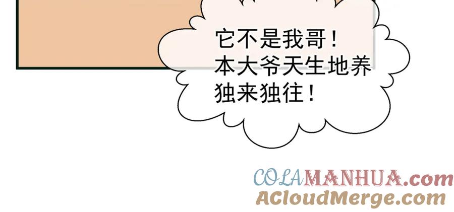 魔尊要抱抱 第48话 昆梧山 第13页