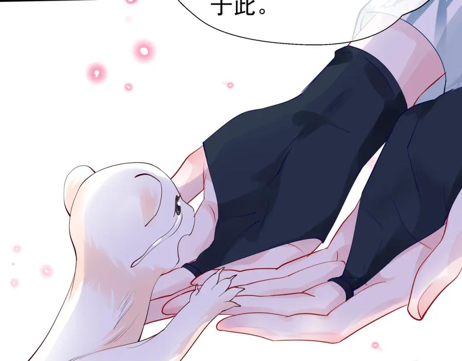 魔尊要抱抱 第51话 溯魂阵 第47页