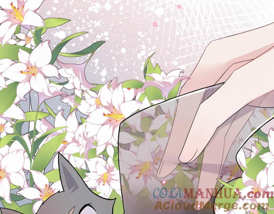 目标是捕获天使 - 第20话 天使的气味 - 第25张图