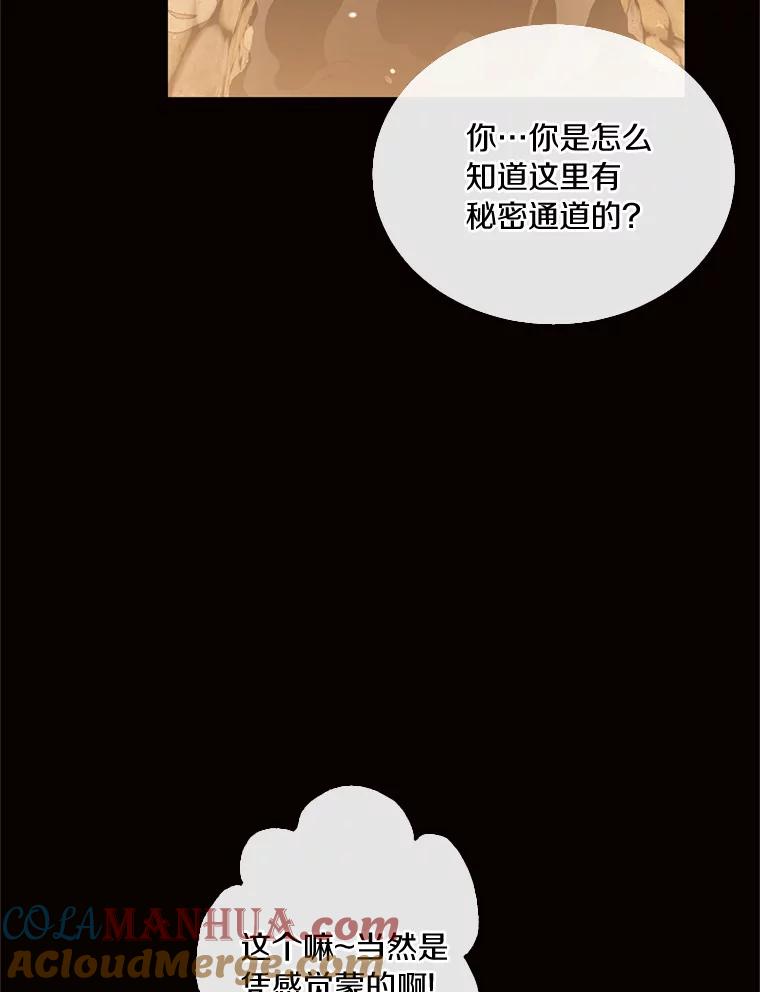 目标是成为长命百岁的千金大小姐 106.公开订婚 第28页