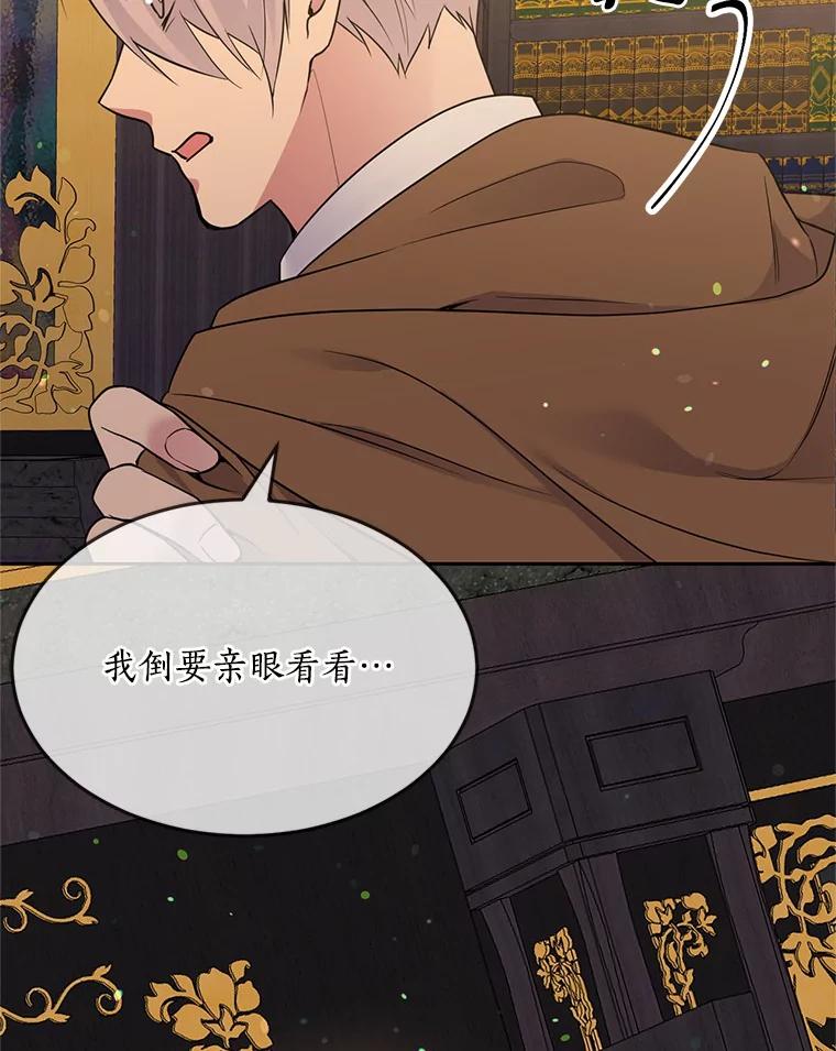 目标是成为长命百岁的千金大小姐 81.魔法触媒的秘密 第114页