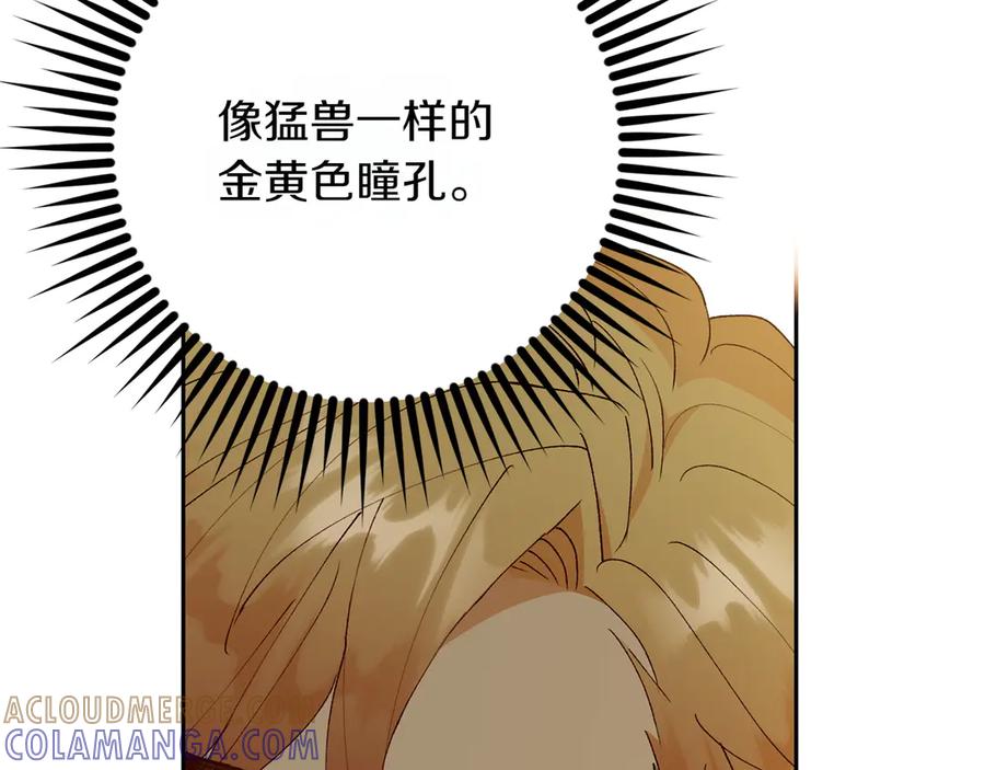 《和猛虎大人的恋爱旅行》第10话 意外的结局 第185页