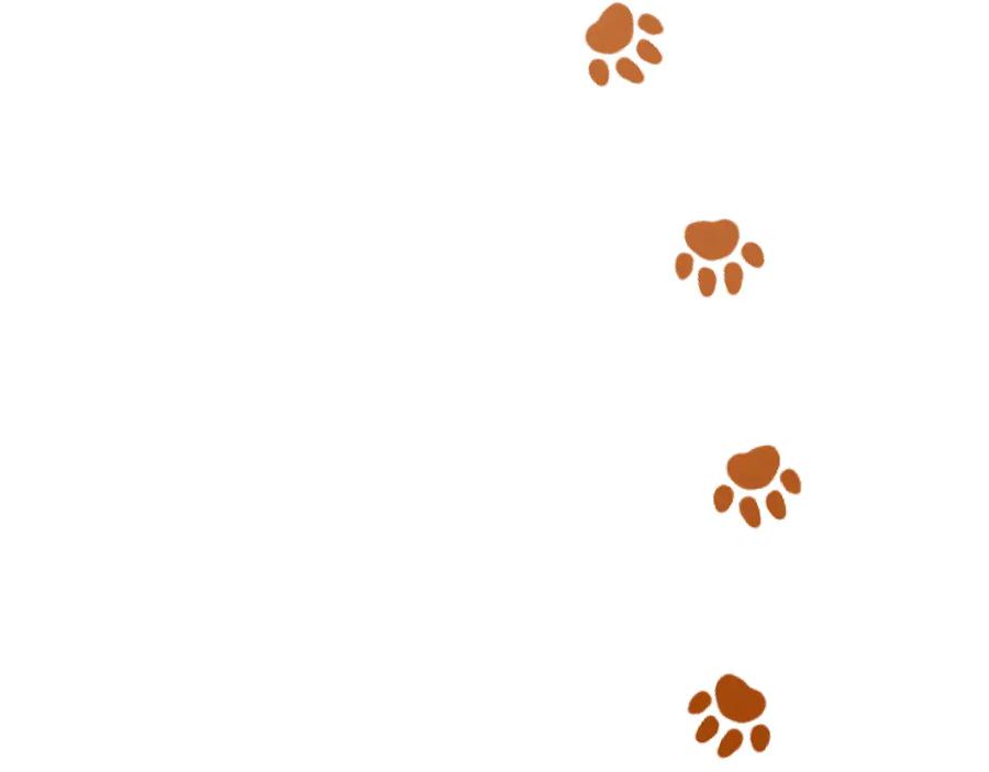 《和猛虎大人的恋爱旅行》第13话 狠狠拒绝 第70页