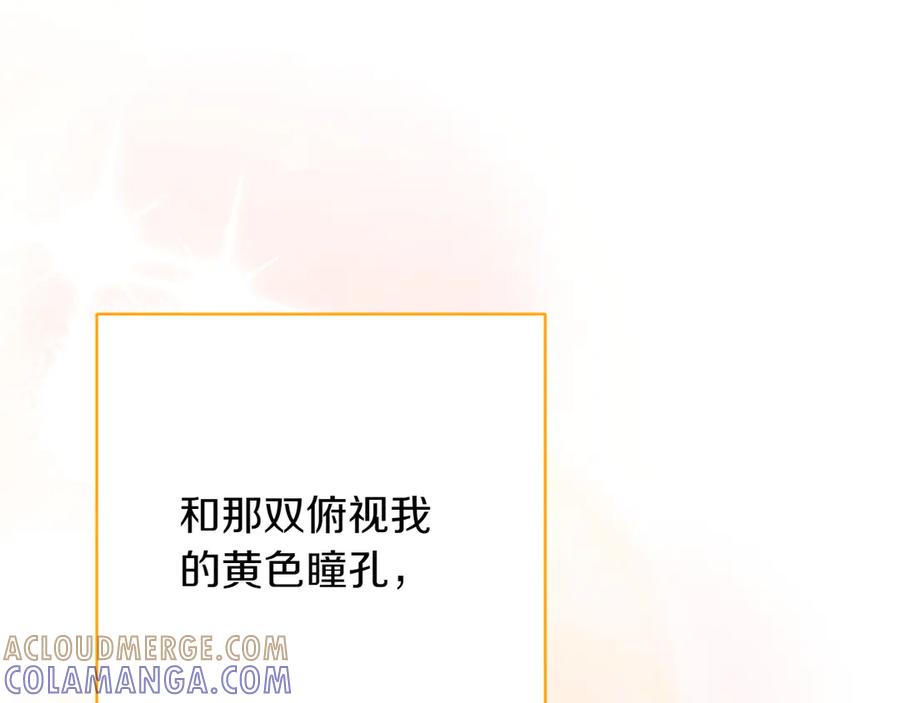 《和猛虎大人的恋爱旅行》第15话 雇佣兵 第33页