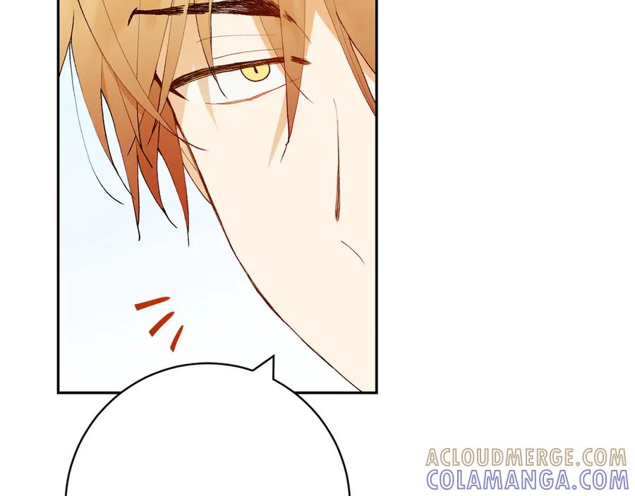 《和猛虎大人的恋爱旅行》第16话 接受委托 第177页