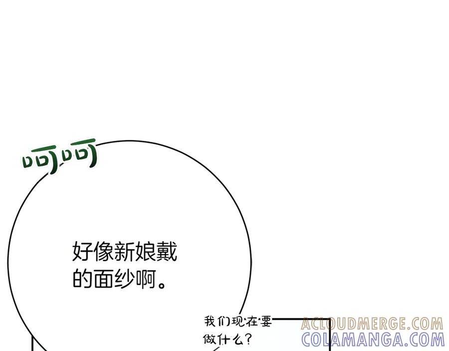 《和猛虎大人的恋爱旅行》第19话 和好 第185页