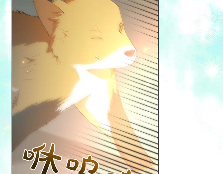 《和猛虎大人的恋爱旅行》第22话 选择 第227页