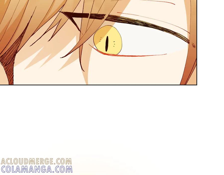 《和猛虎大人的恋爱旅行》第23话 关照 第113页