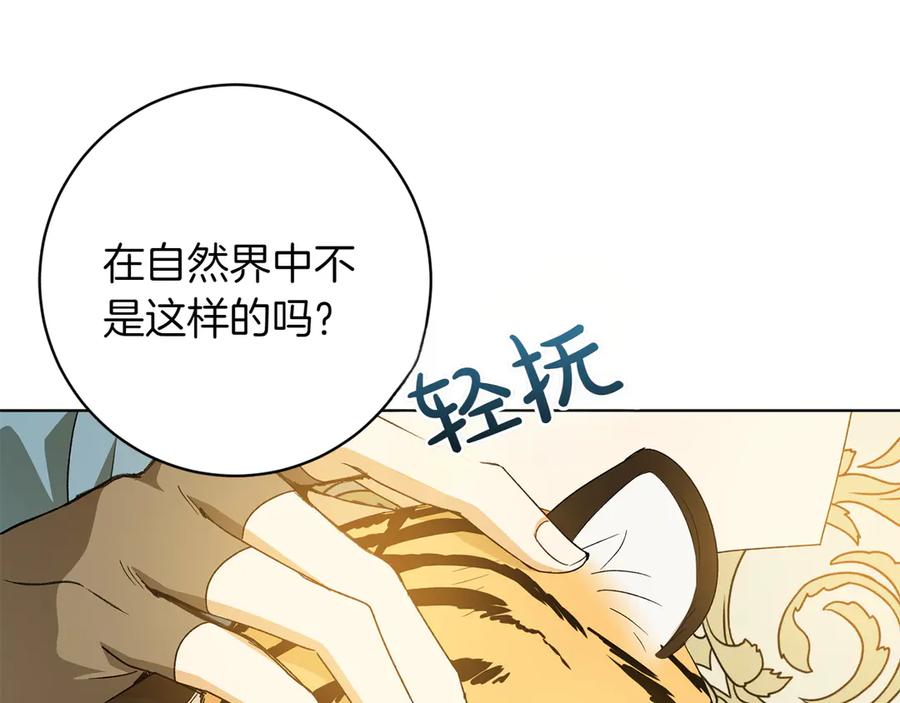 《和猛虎大人的恋爱旅行》第30话 到达首都 第147页