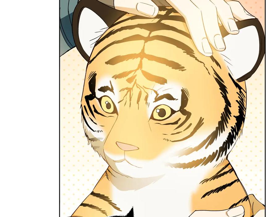 《和猛虎大人的恋爱旅行》第31话 试探 第147页