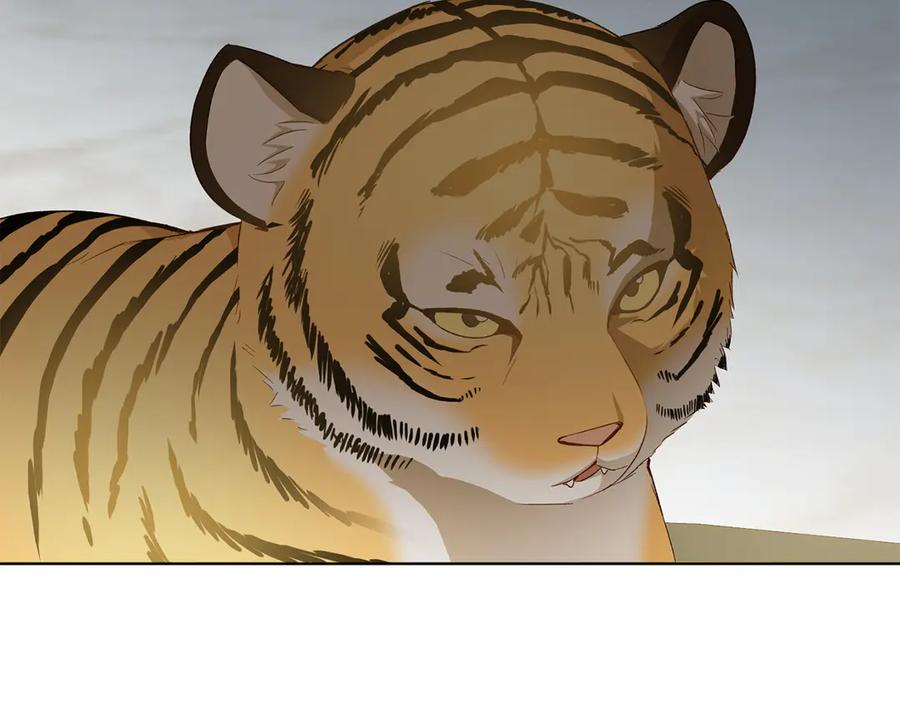 《和猛虎大人的恋爱旅行》第31话 试探 第214页