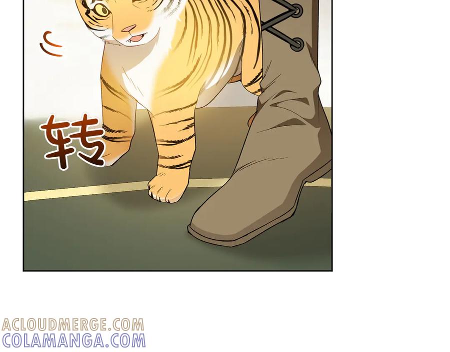 《和猛虎大人的恋爱旅行》第32话 你们认识？ 第21页