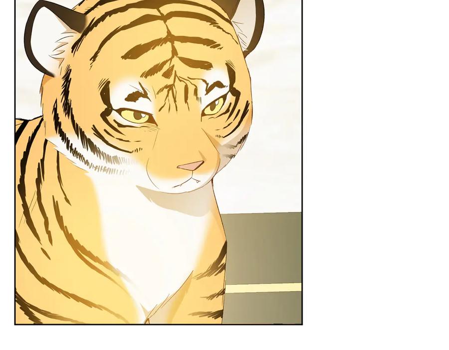 《和猛虎大人的恋爱旅行》第32话 你们认识？ 第11页