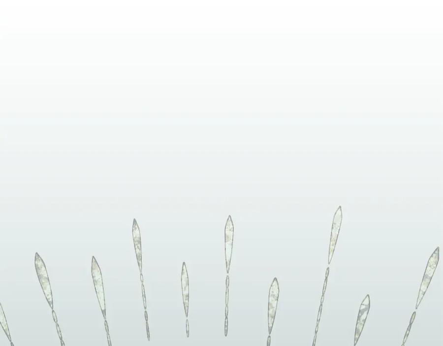 《和猛虎大人的恋爱旅行》第35话 告白之后 第136页