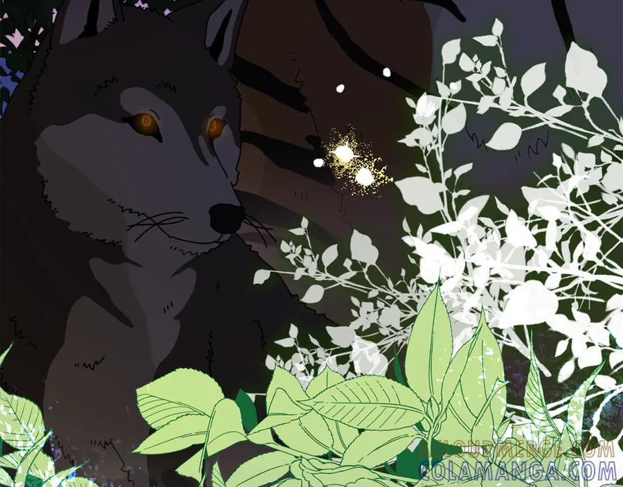 《和猛虎大人的恋爱旅行》第39话 希望 第129页