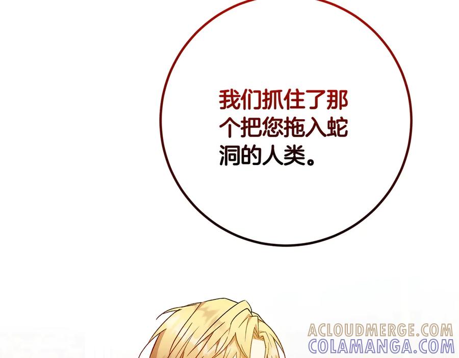 《和猛虎大人的恋爱旅行》第41话 擅作主张 第161页