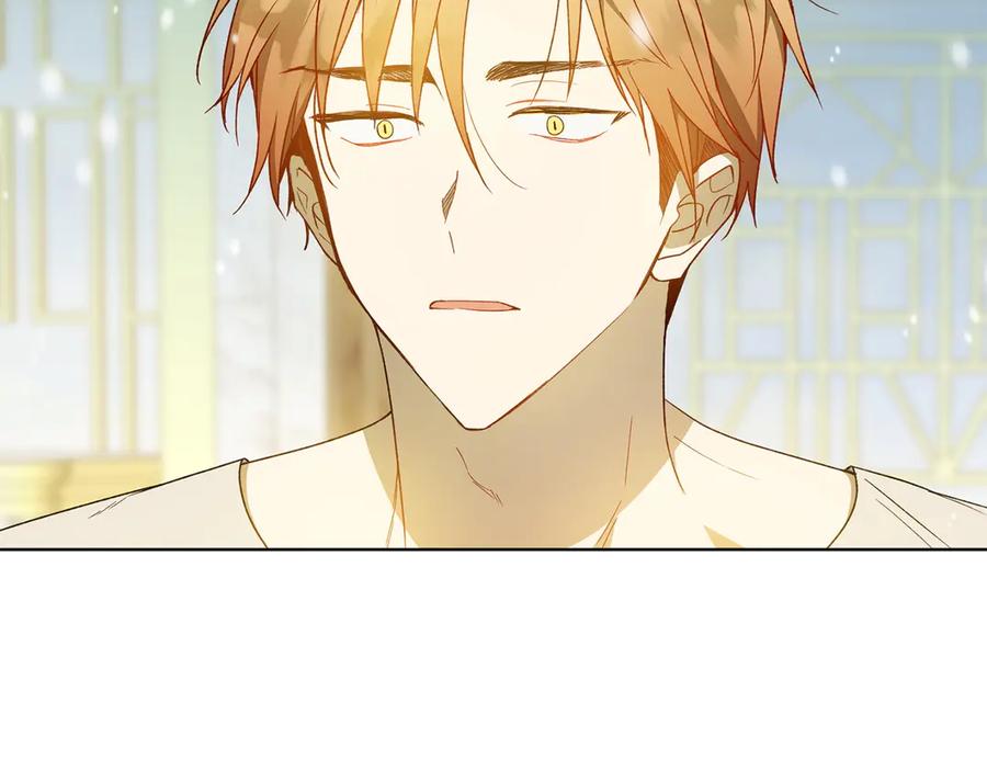 《和猛虎大人的恋爱旅行》第41话 擅作主张 第74页