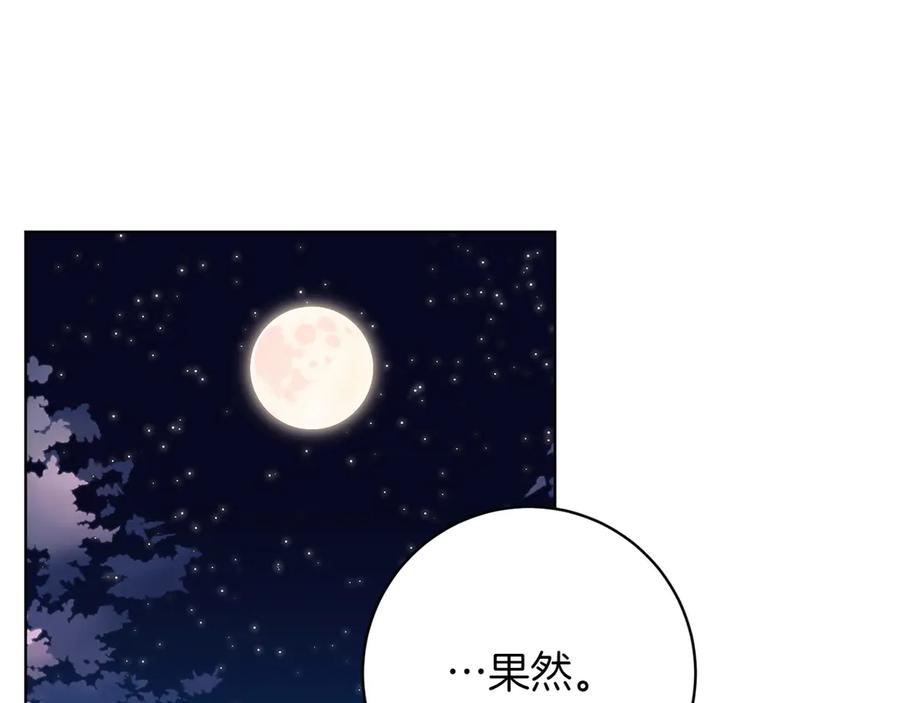《和猛虎大人的恋爱旅行》番外1 大家的好奇心 第147页