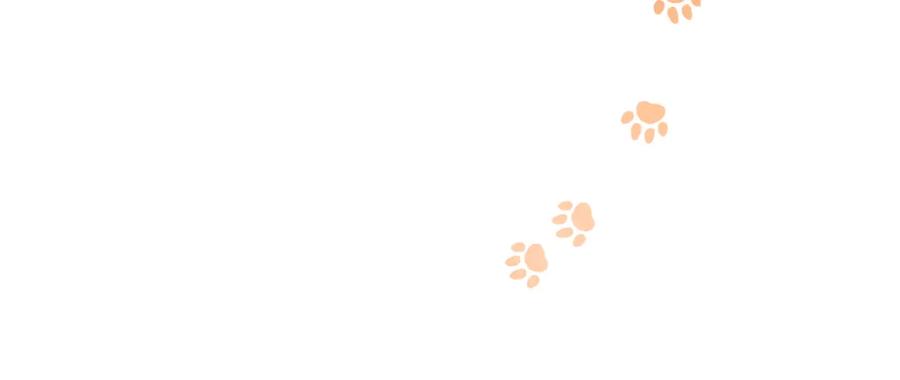 《和猛虎大人的恋爱旅行》番外3 亲手做的戒指 第100页
