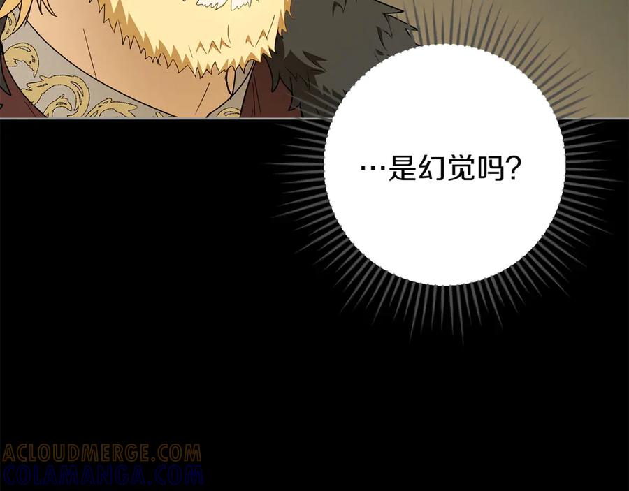 《和猛虎大人的恋爱旅行》番外4 新王即位 第133页