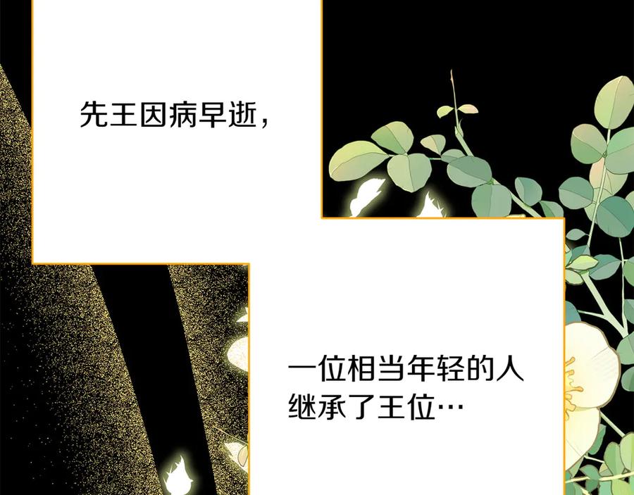 《和猛虎大人的恋爱旅行》番外4 新王即位 第16页