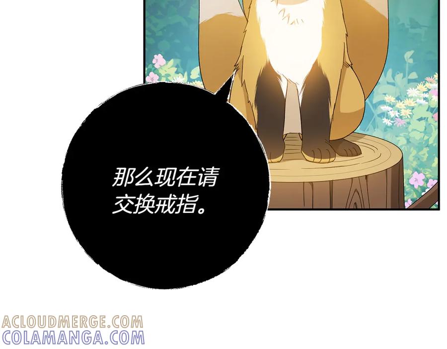 《和猛虎大人的恋爱旅行》番外10 婚礼准备 第161页