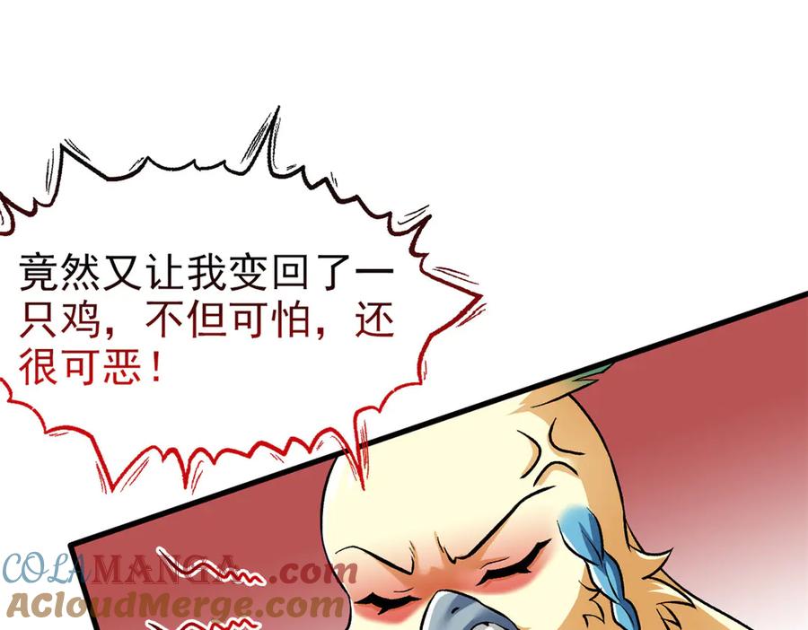 从精神病院走出的强者 299 公鸡母鸡，感情真好 第41页