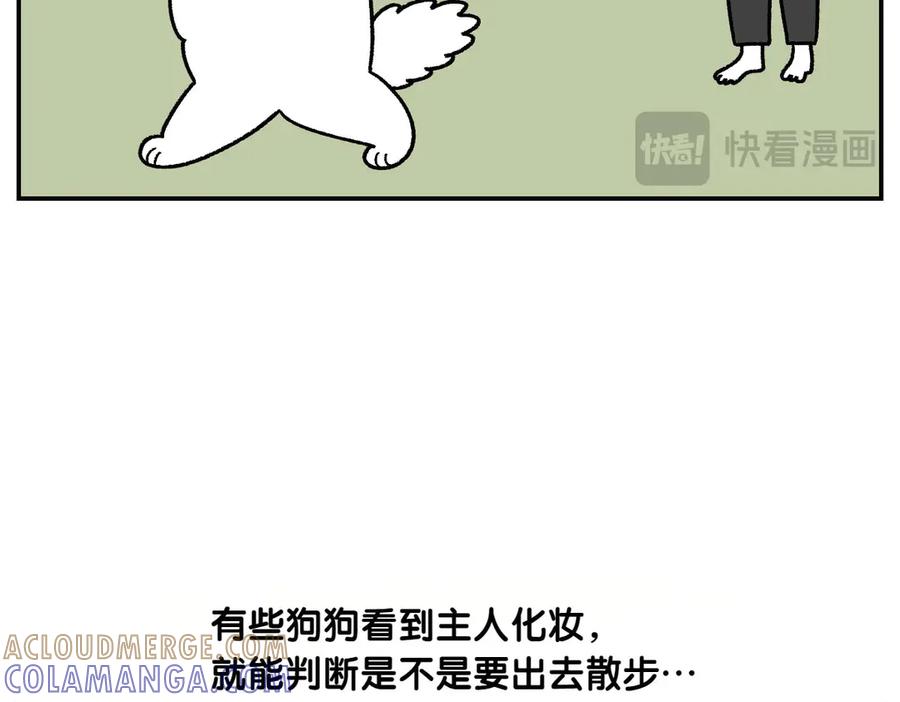 《我的狗子叫棉花》第60话 禁止单词-散步 第40页