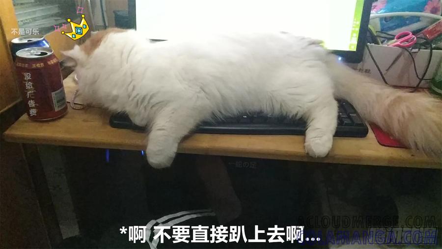 《我的世界：晨曦传记番外》摄影棚日常19 第23页