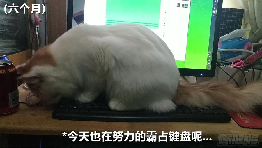 《我的世界：晨曦传记番外》摄影棚日常19 第22页