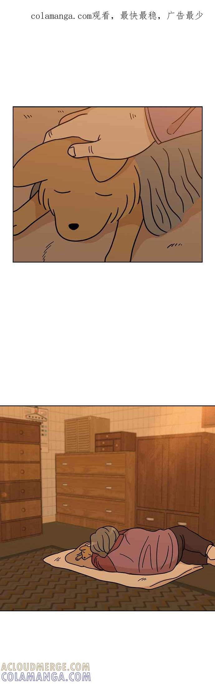 我家妹妹是狗狗 第46话 小爱 第1页