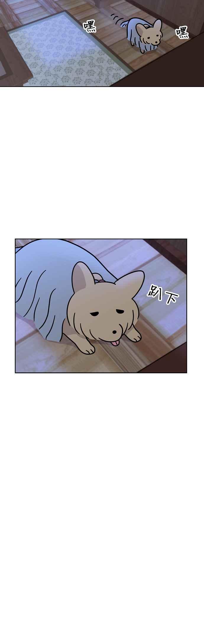 我家妹妹是狗狗 第46话 小爱 第17页