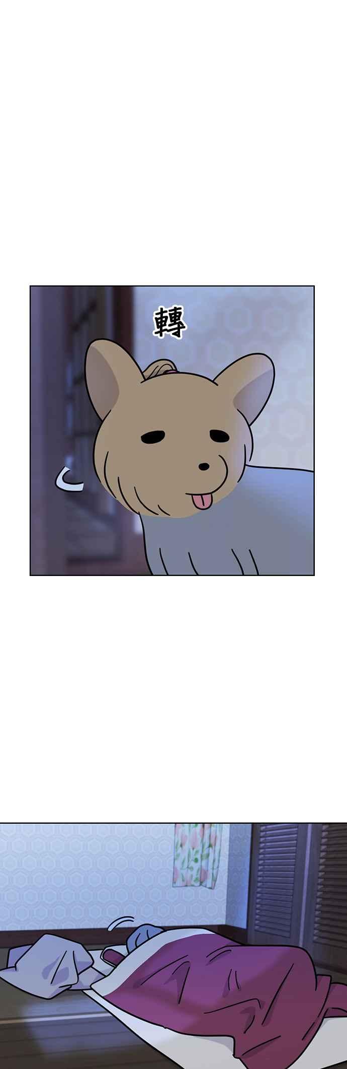 我家妹妹是狗狗 第46话 小爱 第15页