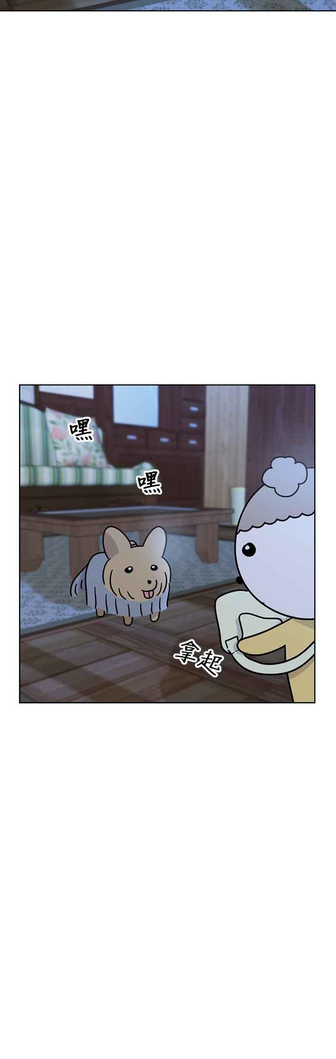 我家妹妹是狗狗 第46话 小爱 第21页