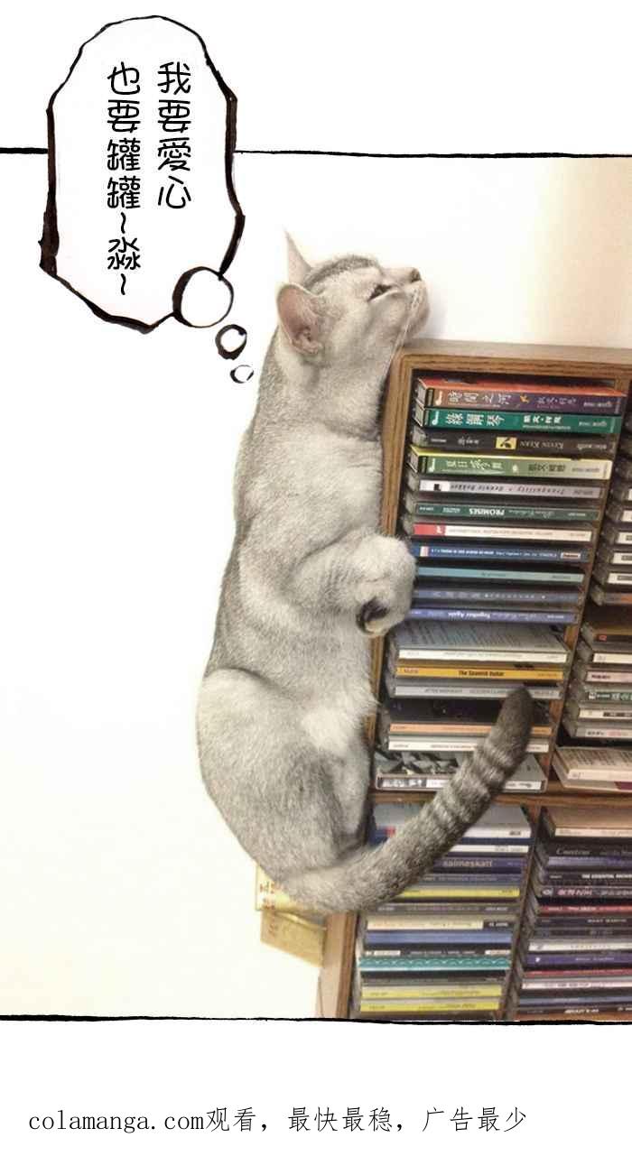 猫剑客 [第94话] 折翼天使 参拾柒，实验品 第44页