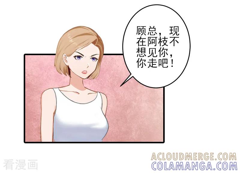 《霸道顾少，请温柔》第23话 我们现在去结婚，你敢吗 第13页