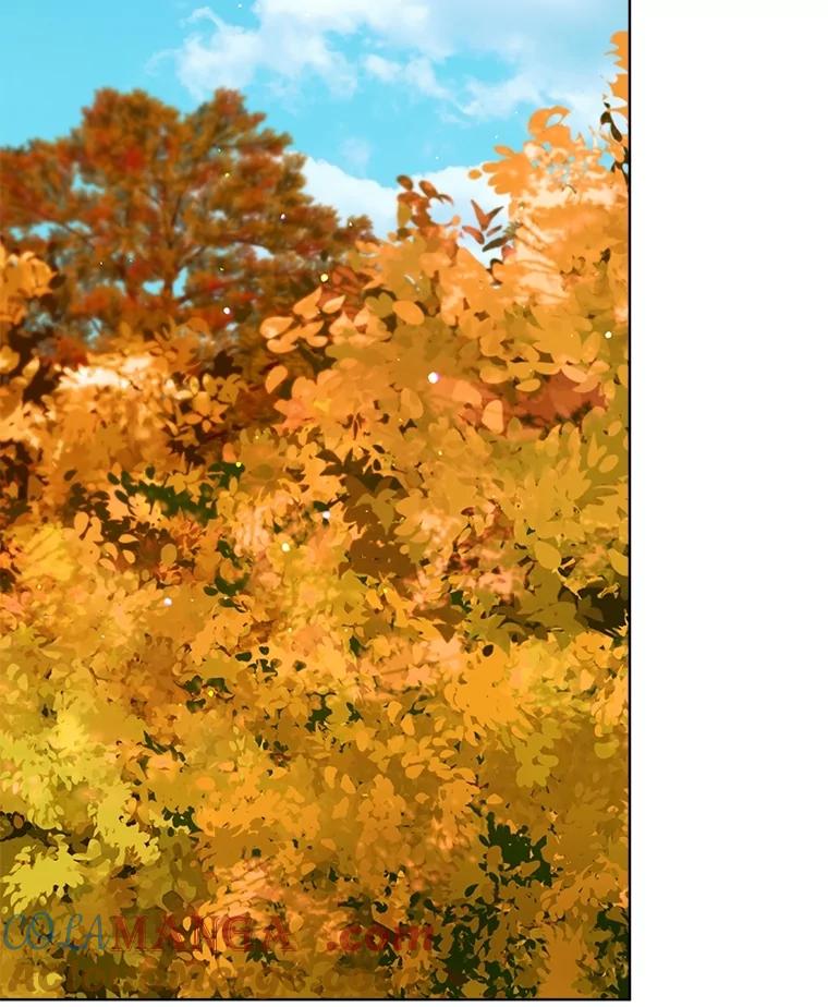 重生为神兽宝宝 - 60.狩猎祭 - 第77张图