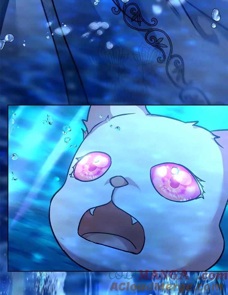 重生为神兽宝宝 - 76.毁掉他 - 第109张图