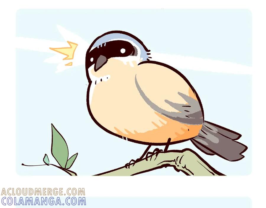 《胖达x胖达》第53话 第3页