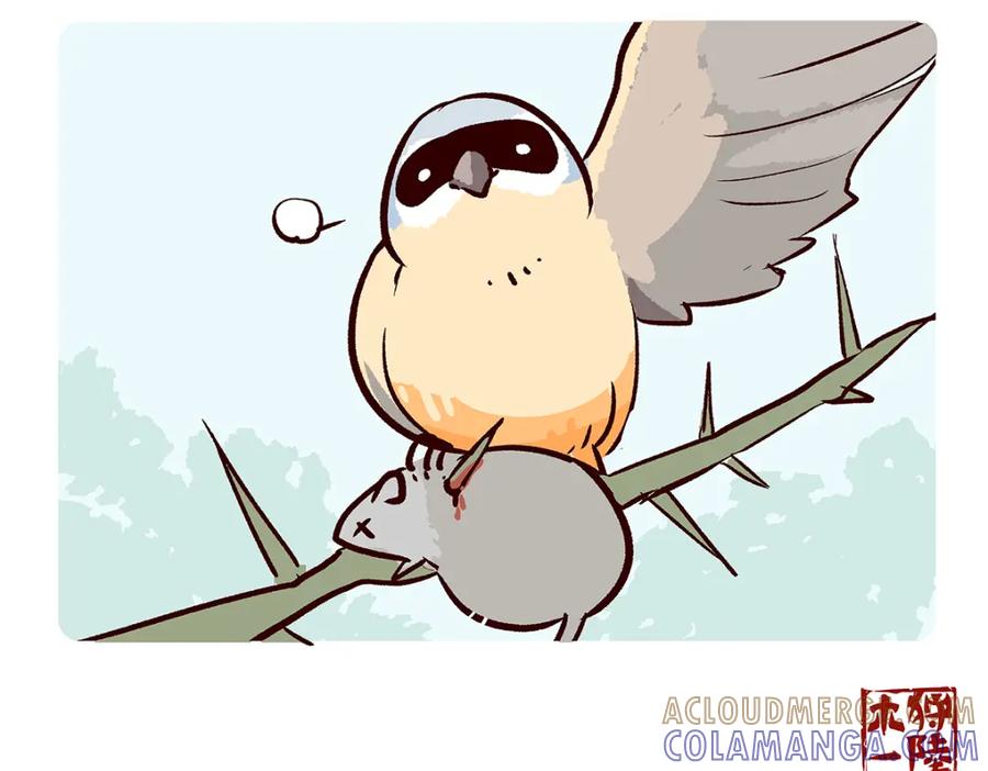 《胖达x胖达》第53话 第5页