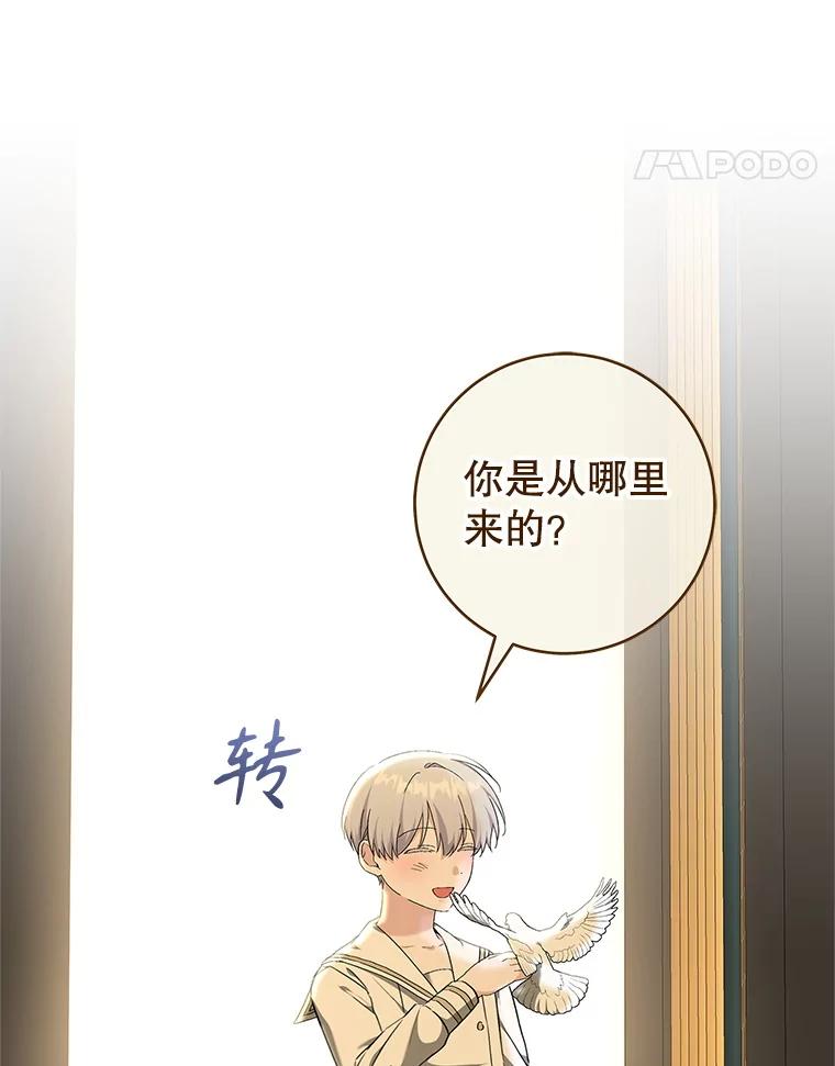 只需轻握我的手 64.记忆碎片 第63页